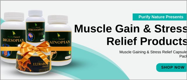 Website banner design